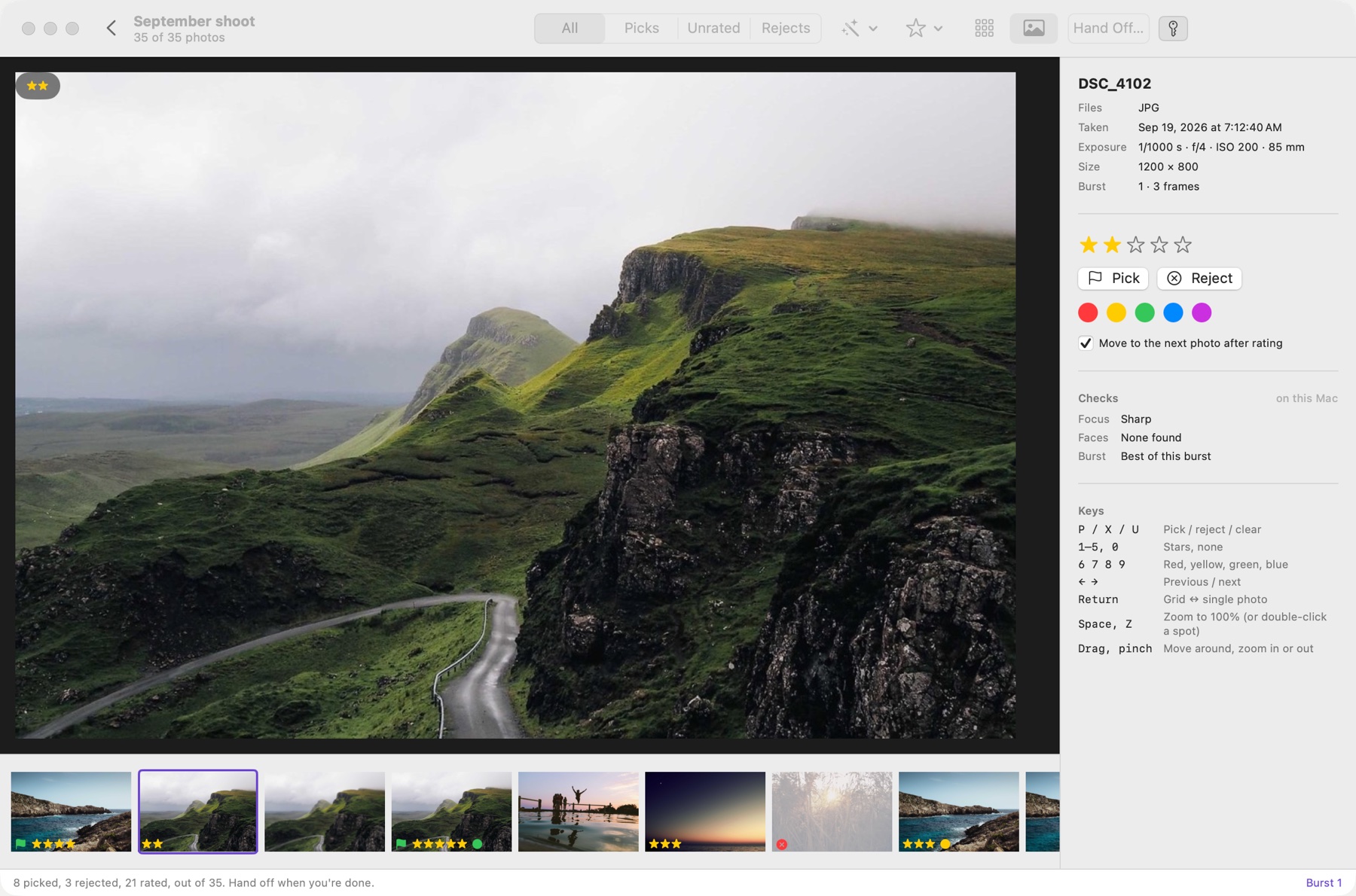 One photo large, zoomed to 100% with the navigator showing which part is visible, and a filmstrip underneath.